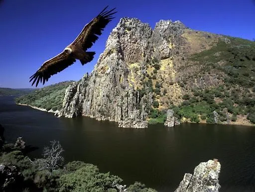 El Arriero 2* Torrejón el Rubio